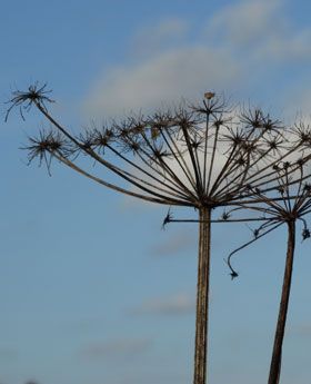 herfst Land-made